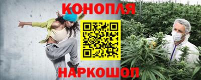 скорость Кинель