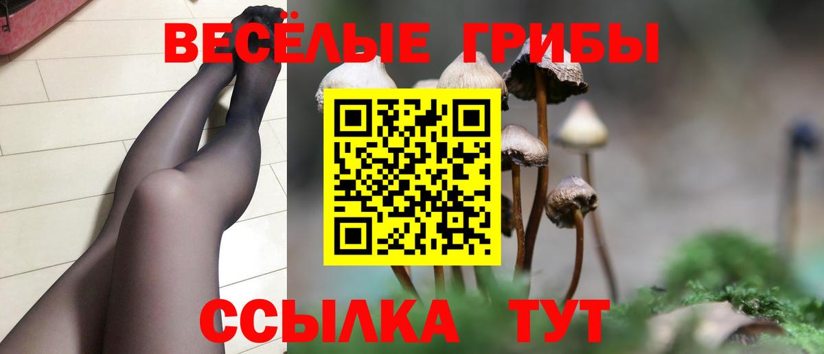 Галлюциногенные грибы Cubensis Корсаков